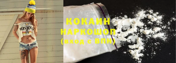 крисы Янаул