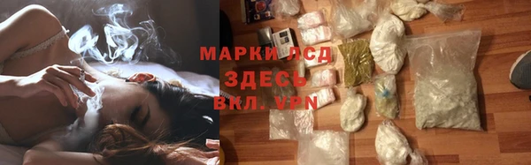 спайс Арсеньев