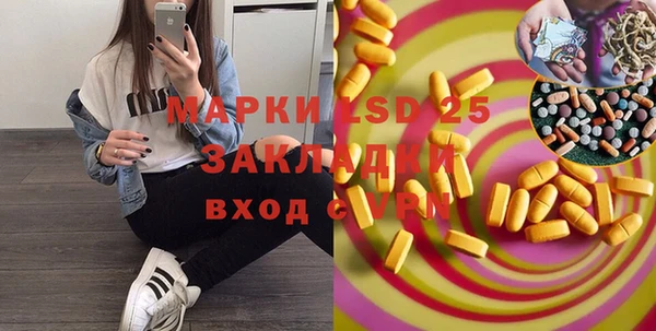 прущие грибы Аркадак