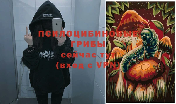 крисы Янаул